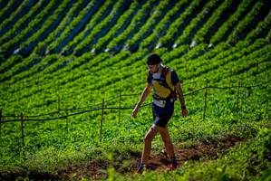 BIB: 
                            <button type="button" onclick="openModal(19160826)" class="btn btn-primary btn-sm float-right btn-popup" data-toggle="modal" data-target=".modal-high-quality">
                        <i class="fas fa-shopping-cart"></i> Add to Cart
                    </button>
                                            <button type="button" onclick="isThisMe(19160826, true)" class="btn btn-success btn-sm float-right btn-popup btn-isme hidden" data-toggle="tooltip" data-placement="bottom" title="นี่คือรูปของคุณใช่ไหม คลิกที่นี่เพื่อเอาเข้าอัลบั้ม">
                        <i class="fas fa-plus"></i> Add to album
                    </button>
                    <button type="button" onclick="isThisMe(19160826, false)" class="btn btn-warning btn-sm float-right btn-popup btn-isnotme hidden">
                        <i class="fas fa-ban"></i> Remove from album
                    </button>